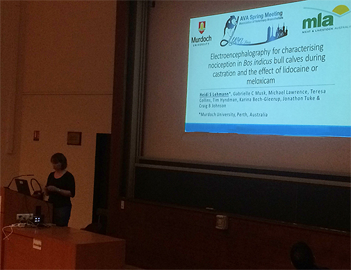 Photo of presentation